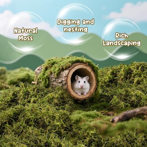 Sukh Hamster Moss - 5.6 Oz Forest Moss for Hamster Bedding Nesting Hideout Dried Moss Reptile Moss for Squirrels Hamsters Guinea Pigs Mices Small Animals Cage Accessories