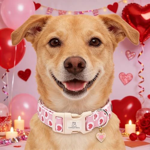 Lionheart glory Valentine's Day Dog Collar - Pink Heart Dog Collar Adjustable Soft for Small Puppy Girl Boy Dogs Spring Party Holiday Pet Collars