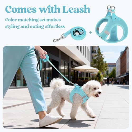 rabbitgoo Dog Harness Medium Sized and Leash Set, Step-in Puppy Pet Vest
