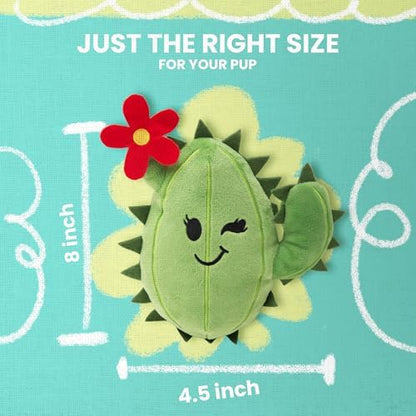 Snugarooz Chloe the Cactus Plush Toy with Repair Patch – Soft, Durable Squeaky Dog Toy for Small and Medium Breeds – Ideal for Chewing and Tugging – Sustainable Materials