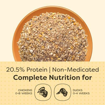 Scratch and Peck Feeds | Starter Mash for Chickens & Ducks | 40 lb Bag