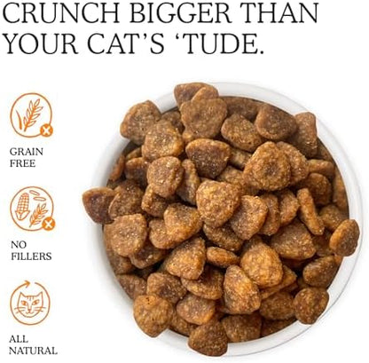 Cat Person, Chicken Savory Crunchies Cat Treats, 2oz Bag