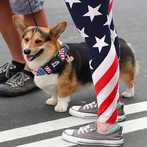 Independence Dog Collar-USA Flag Print Pet Collar Adjustable Cute Soft Comfortable Cotton Collars Holiday Puppy Collar Gift for X-Small Dogs