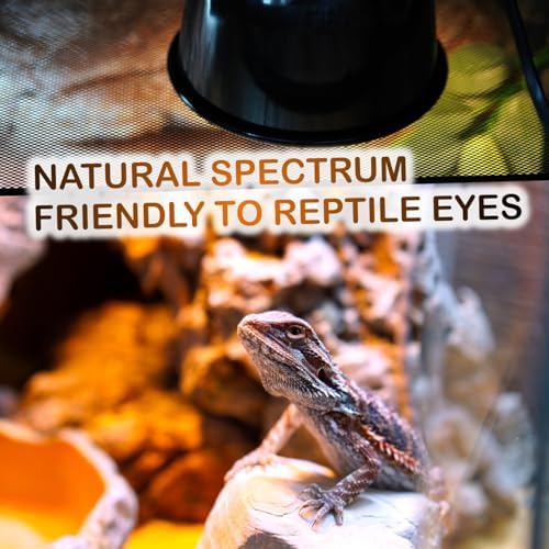 100W 2-Pack Reptile Basking Heat Bulb - UVA Daylight Heat Lamp for Bearded Dragons, Turtles, Snakes, Lizards & Amphibians - Provides Infrared Heat Output & Sunlight Simulation Heating Light
