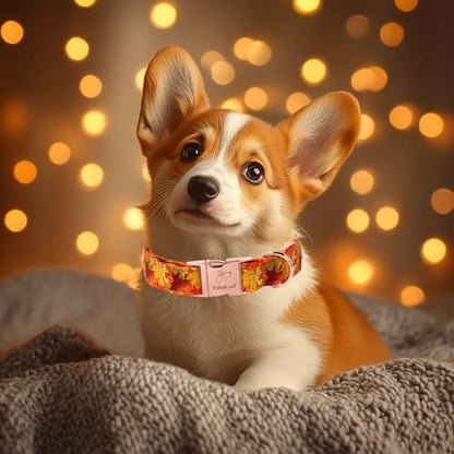 Fall Dog Collar for Small Dogs - Gold Maple Leaves Tanksgiving Puppy Collar, Adjustable Heavy Duty Fall Festivel Cotton Dog Collars with Metal Buckle S
