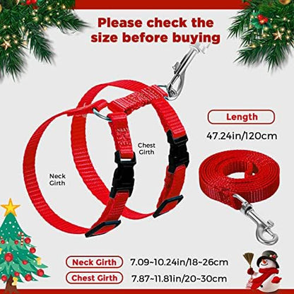 Outus 5 Pieces Adjustable Rabbit Harness and Leash Set, Vivid Color