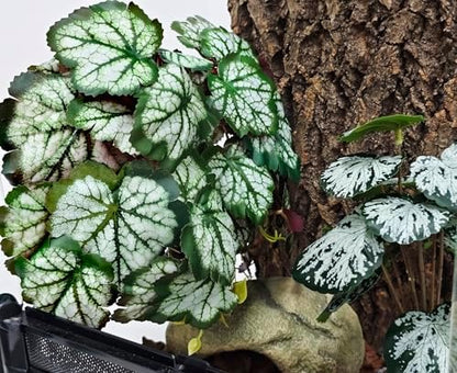Woyrise Fake Reptile Plants for Terrarium,Tank Decor, Artificial Plant
