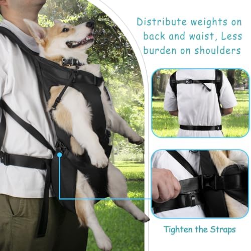 PetBonus Pet Front Dog Carrier Backpacks, Adjustable Pet Backpack, Legs Out Easy-fit Puppy Chest Carrier for Medium Small Dogs, Hands Free for Hiking, Cycling (Black, XL)