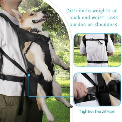 PetBonus Pet Front Dog Carrier Backpacks, Adjustable Pet Backpack, Legs Out Easy-fit Puppy Chest Carrier for Medium Small Dogs, Hands Free for Hiking, Cycling (Black, XL)