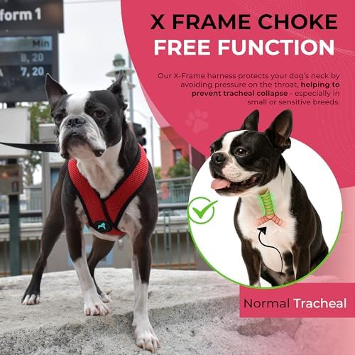 Gooby Comfort X Head-in Dog Harness, Choke-Free, Red, Small