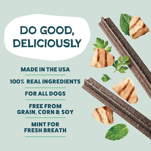 Shameless Pets Dental Treats for Dogs, A Cluck A Day - with Digestive Support for Teeth Cleaning & Fresh Breath - Dog Bones Dental Chews Free from Grain, Corn & Soy