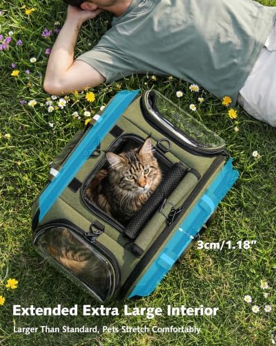 Pecute Cat Carrier,Double Bubble Pet Carrier for Cat Small Dogs,Green,XL