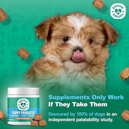 Doggie Dailies Puppy Probiotic Soft Chews, Digestive, Pumpkin, 120 Count