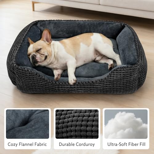 MIXJOY Dog Beds for Medium Dogs Washable, Rectangle Pet Bed Medium Size Dog, Orthopedic Sleeping Pet Sofa Bed, Soft Calming Cat Beds for Indoor Cats, Anti-Slip Bottom with Multiple Size