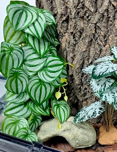 Woyrise Fake Reptile Plants for Terrarium,Tank Decor, Artificial Plant