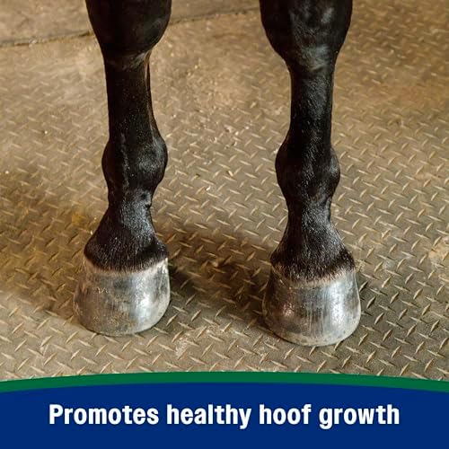 Farnam Horseshoer's Secret Pelleted Hoof & Biotin Supplements, Nutrient-Rich Formula with Amino & Fatty Acids, Omega-3 Minerals, Promotes Hoof Growth & Supports Cracked Hooves, 38 lb, 100-Day Supply