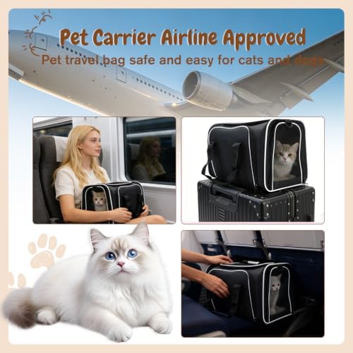 Double Expandable Cat Carrier,Airline Approved Soft-Sided Pet Travel Carrier for Small Dogs Cats Under 15 lbs,Waterproof 600D Oxford Fabric with Washable Replacement Liner,Odor-Free & Claw-Proof Black