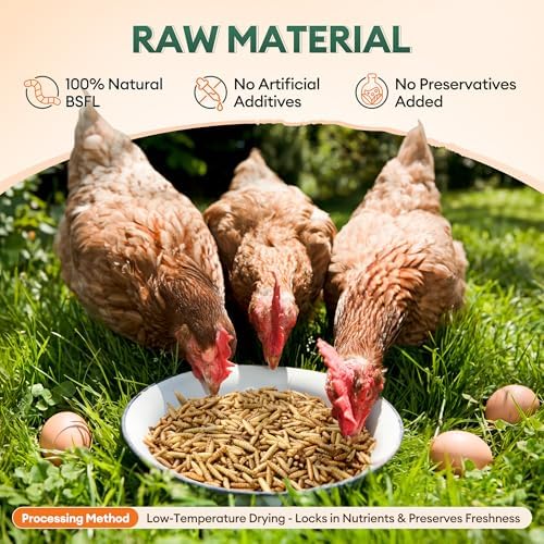 BUCATSTATE Dried Black Soldier Fly Larvae for Chickens and Ducks, 10LB