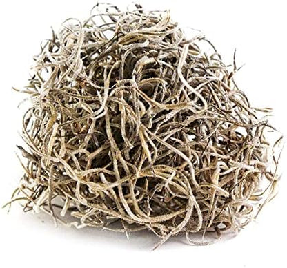 Galápagos (05160) Spanish Moss, Mini Bag