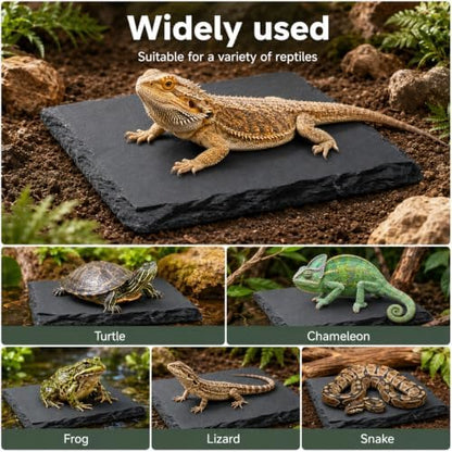 Turtle Slate Rock Reptiles Basking Platform