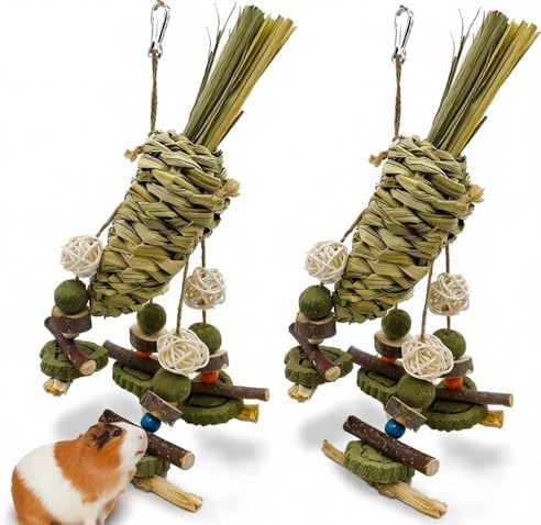 Rabbit Chew Toy, 2PCS Bunny Cage Hanging Chew Toy & Treats,Natural Material Handwoven Chinchilla Treats Toys for Guinea Pigs Hamsters Rats and Other Small Pets Teeth Grinding