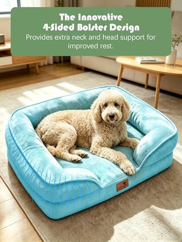 Spotted Play Orthopedic Dog Bed with Sides - Sofa Beds for Extra Large Dogs, Supportive Foam Pet Couch Bed with Washable Removable Cover, Waterproof Lining and Non-Slip Bottom, Ice Blue - XL