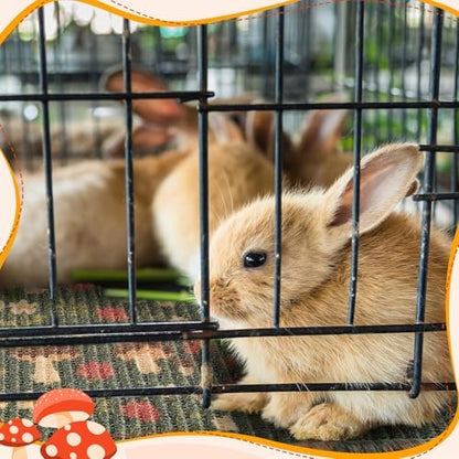 Drydiet 2 Pcs 16 x 12 in Rabbit Mat Scratch Pad Bunny Chew Toy Cage Bedding