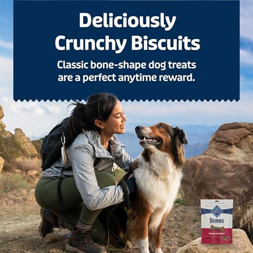 Blue Buffalo Bones Beef Large Dog Biscuits, 16 oz, 4 ct