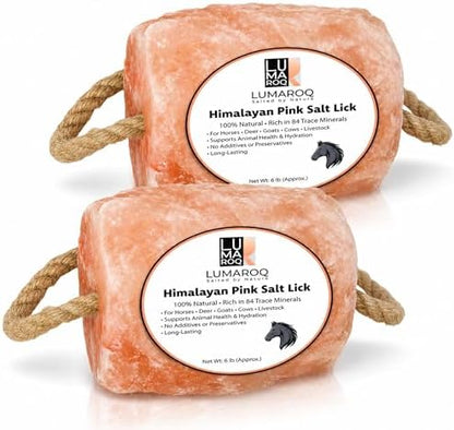 Himalayan Pink Salt Lick On Rope 6lbs for Horses, Deer, Goats & Livestock, Natural Mineral Salt Block with 84 Trace Minerals, Hanging Horse Salt Lick for Farm Animals & Wildlife (Pack of 2)