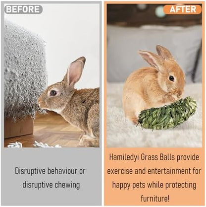 Hamiledyi Rabbit Chew Ball Bunny Timothy Grass Ball Natural Woven Chewing Toys Small Animal Activity Play Balls Chew Toys for Bunny Rabbits Hamster Guinea Pigs Chinchilla Gerbils 4PCS