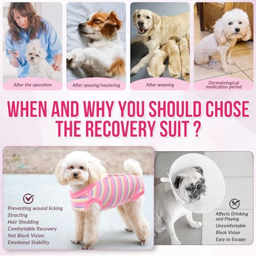 Lukovee Recovery Suit for Dogs, Onesie Spay Neuter Surgery Suit Female Male