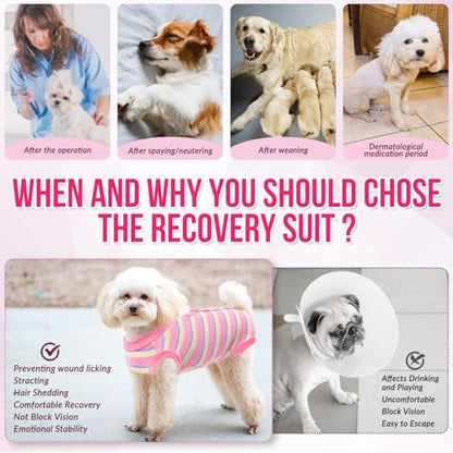 Lukovee Recovery Suit for Dogs, Onesie Spay Neuter Surgery Suit Female Male