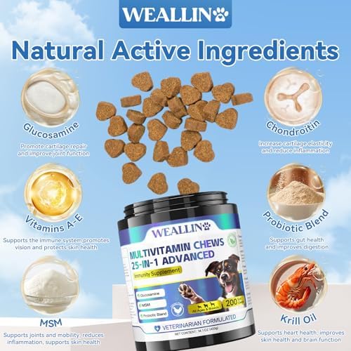 Dog Vitamins and Supplements with Glucosamine Probiotics 200ct Chicken