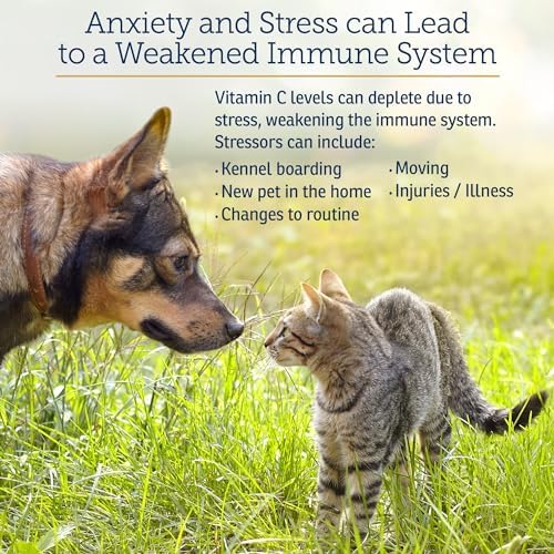 Rx Vitamins Bio-C - Vitamin C for Dogs and Cats - 4 oz