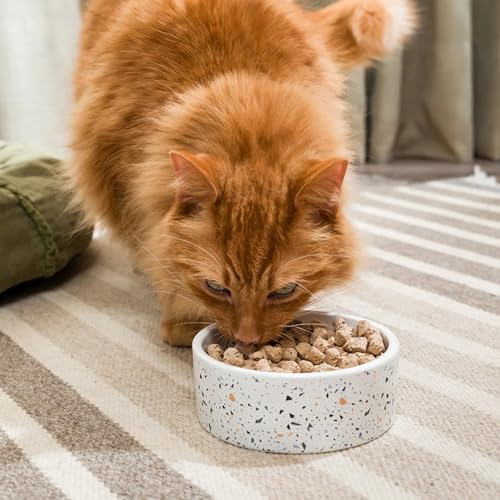 Open Farm Freeze Dried Raw Cat Food, Wild Caught Salmon & Cod, 9oz Bag