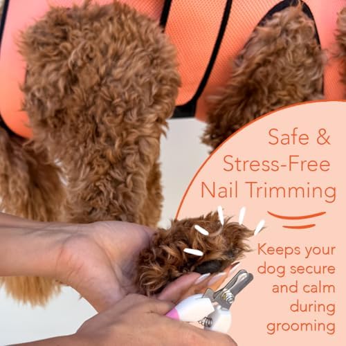 HamInWay PawsUp Pet Grooming Hammock Kit for Large Dogs, 4-in-1 Professional Grooming Sling for Nail Trimming, Includes Heavy Duty Clipper, Nail File, and Steel Comb – Orange