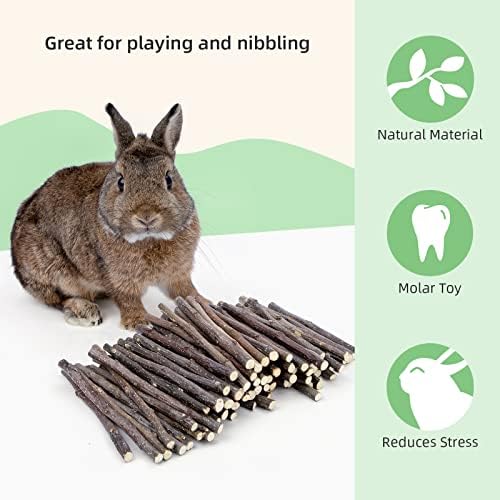 Niteangel Apple Sticks Chew Toys: Natural Herbal Flavor & No Additives