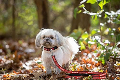 Pets First NHL Washington Capitals Leash for Dogs & Cats, Medium. - Walk Cute & Stylish! The Ultimate Hockey Fan Leash!, 4 ft Long x 0.62 in Width, CAP-3031-MD