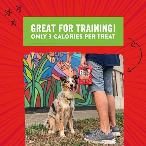 Stella & Chewy's Training Dog Treats - Crav'n Bac'n Soft Bacon & Duck Bites - Premium USA Made - Low Calorie Rewards - 8.25oz