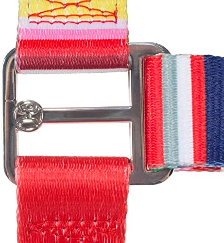 Hooey Nomad Walking Harness Serape Tijuana L