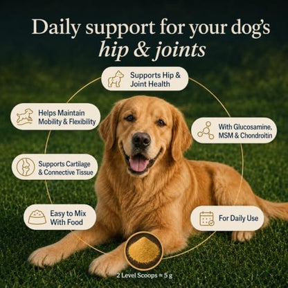 Zubest Hip & Joint Supplement for Dogs, Glucosamine Chondroitin MSM Powder