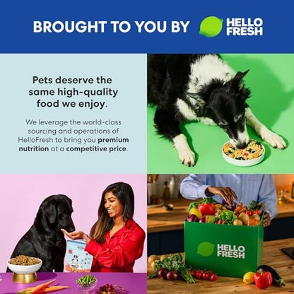 The Pets Table Mixed Grain Free and Grain Inclusive, Air Dried Dog Food 2 Pack - Beef & Berries + Chicken & Sweet Potato, 48 Ounce (Pack of 2)