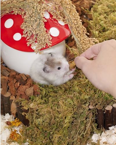Niteangel Hamster Snack & Treats Toy: Freeze-Dried Dubia & No Additive