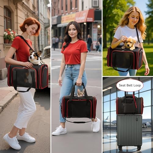 EliteField Soft-Sided Pet Carrier for Cats & Small Dogs (3-Year Warranty)