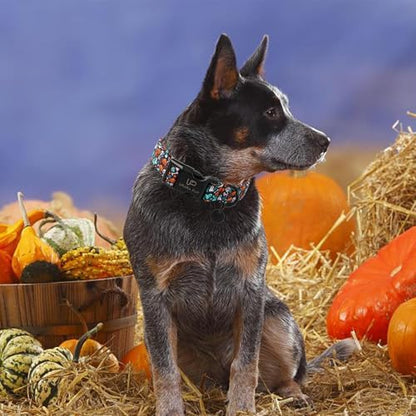 Halloween Dog Collar, UP URARA PUP Cotton Skull Ghost Dog Collar for Small Dog, Fall Pet Collar with Halloween Elements Pattern, Adjustable Puppy Collar,L,Neck 16-24in