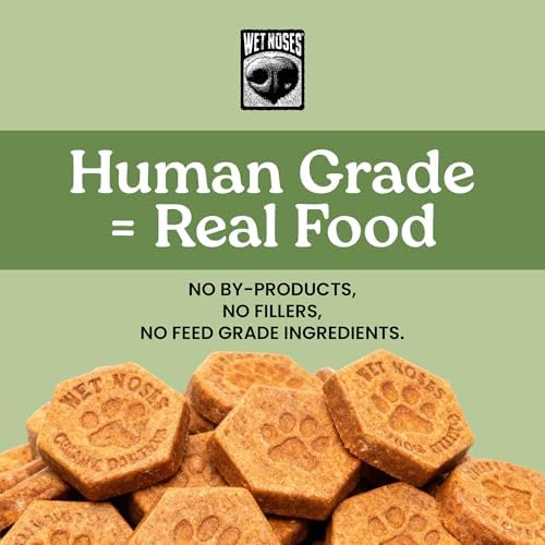 Wet Noses Organic Crunchy Dog Treats – All-Natural, Human-Grade, Non-GMO, Healthy Training & Delicious Snacks for Dogs, for All Dog Sizes & Breeds – Grilled Turkey, 14oz (2 Pack)