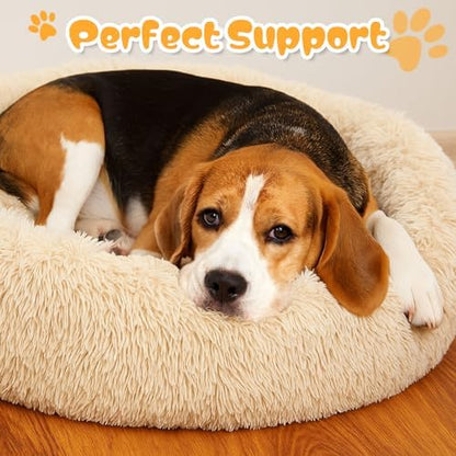 2-Pack Small Calming Dog & Cat Bed Anti Anxiety Fluffy Plush Pet Beds with Anti-Slip Bottom Machine Washable Interchangeable Pet Bed for Kittens & Puppies(Cream and Light Gray,21x16.5 Inch)