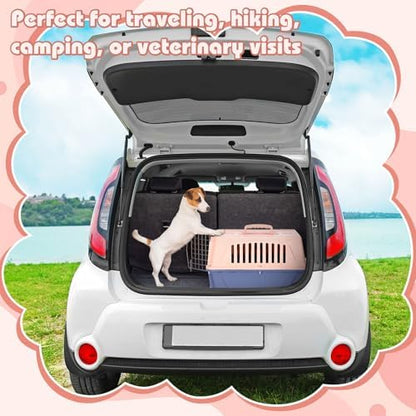 2 Set 18.9" Pet Carrier for Small Cats and Dogs, Hard Sided Plastic Cat Kennel for Pet with Front Door Security Lock Fully Breathable Travel Crate, up to 13 Lbs(Blue,18.9 x 12.6 x 11.8 Inch)