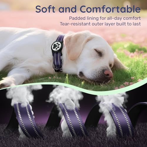 Premium Airtag Dog Collar，with IP68 Waterproof AirTag Holder,Purple,M