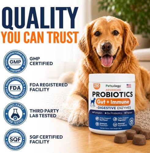 Probiotics for Dogs - 250 Dog Probiotics Chews - Digestive Enzymes Support